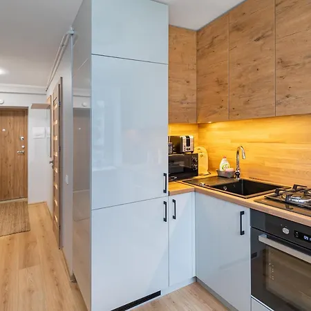 Apartment Modern N' Lovely By Polo Kaunas