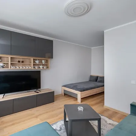 Modern N' Lovely By Polo Apartment Kaunas
